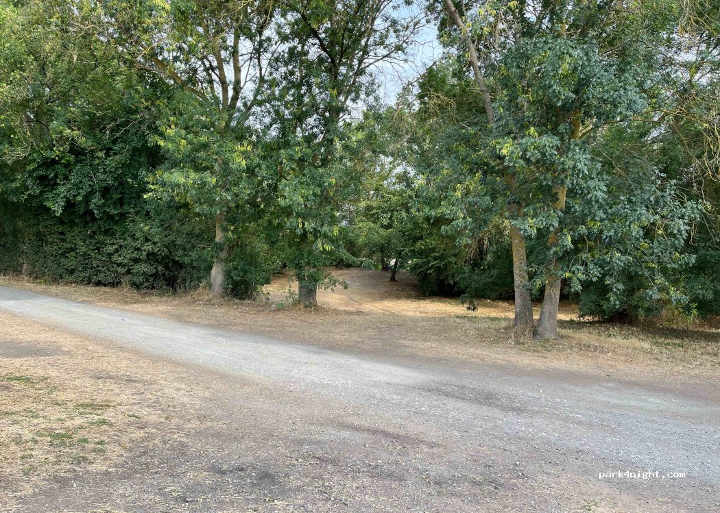 (49290) Chalonnes-sur-Loire - Unnamed Road — foto 2