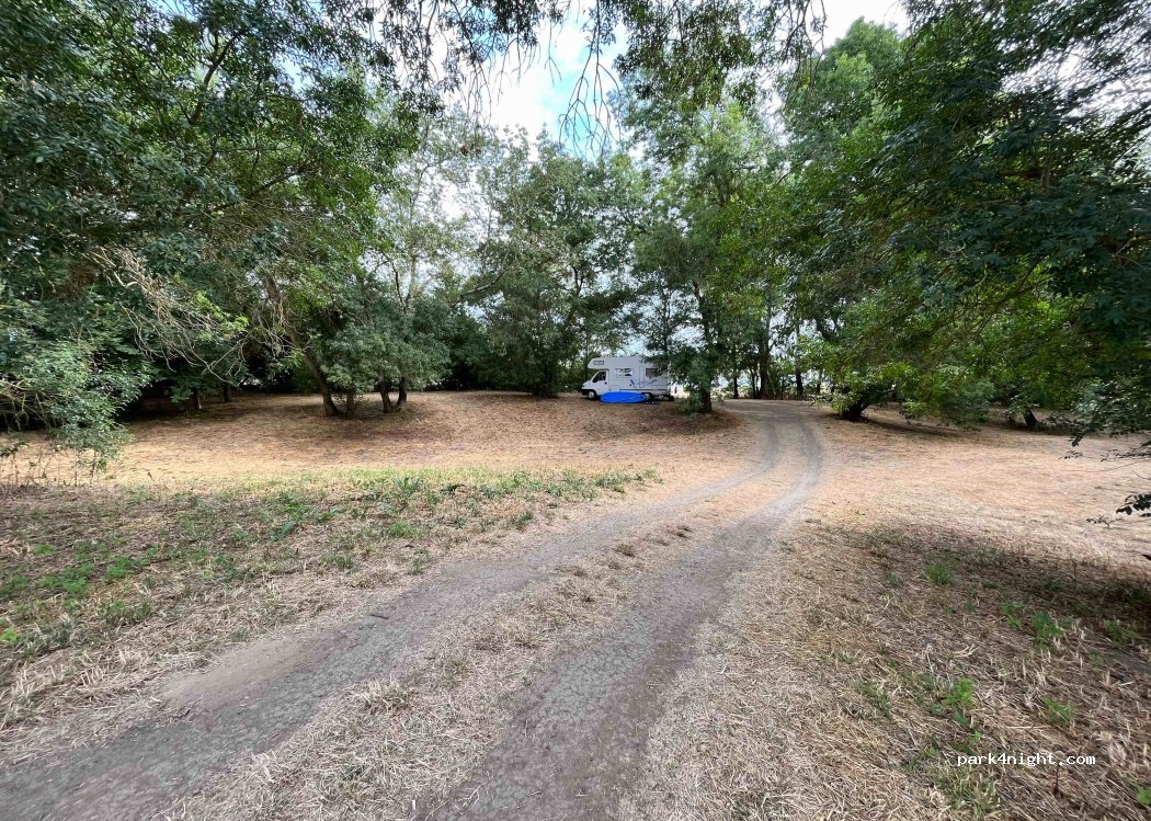 (49290) Chalonnes-sur-Loire - Unnamed Road — foto 3
