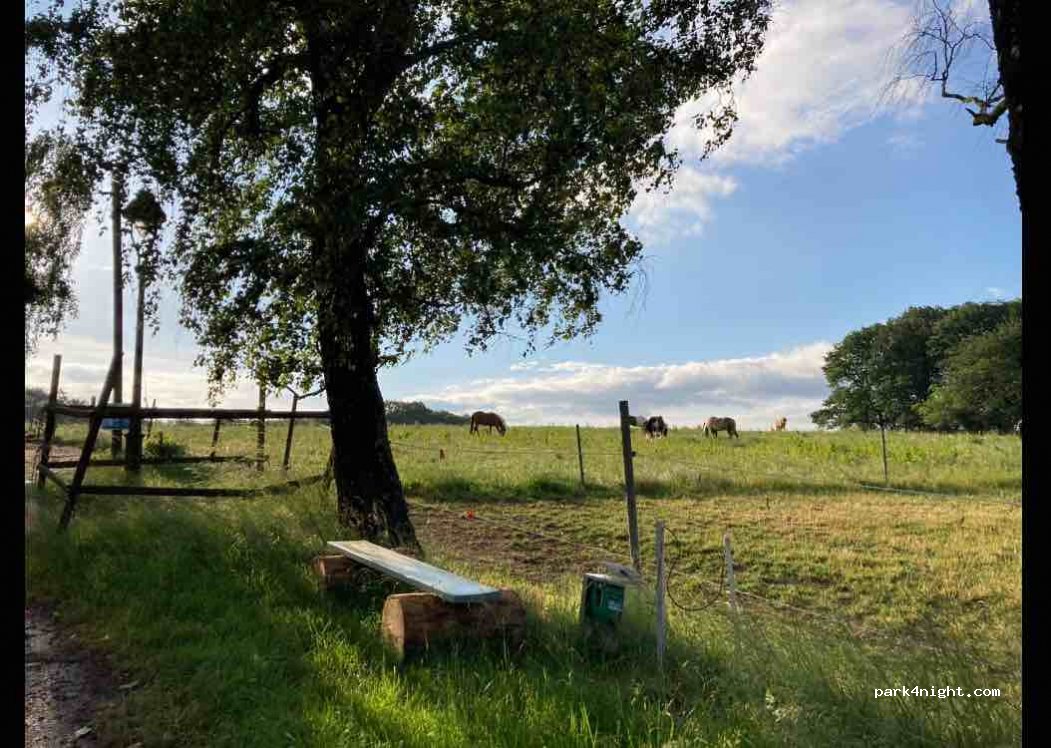 Pferdehof Werbsiepen — foto