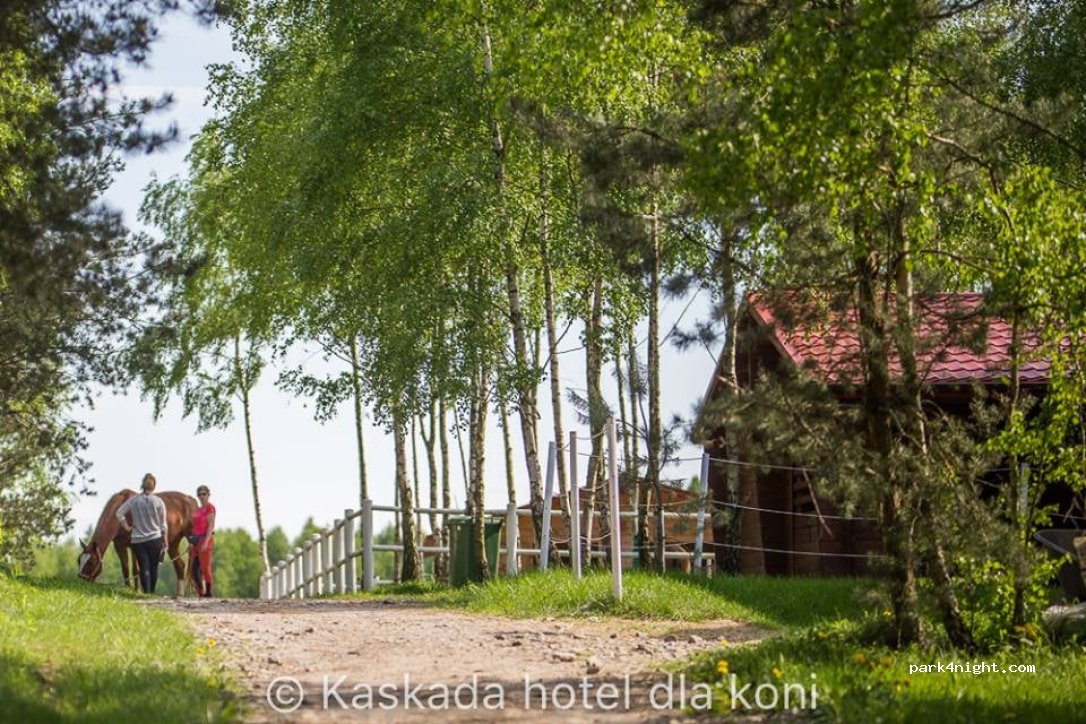 Kaskada Glamping around animals — foto