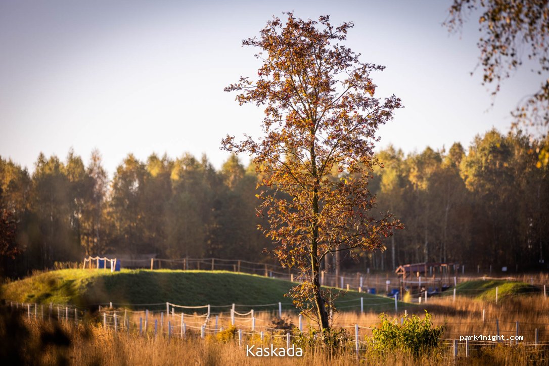 Kaskada Glamping around animals — foto 3