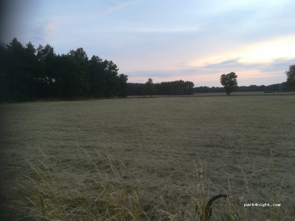 (29410) Salzwedel - Plantagenweg — foto 3