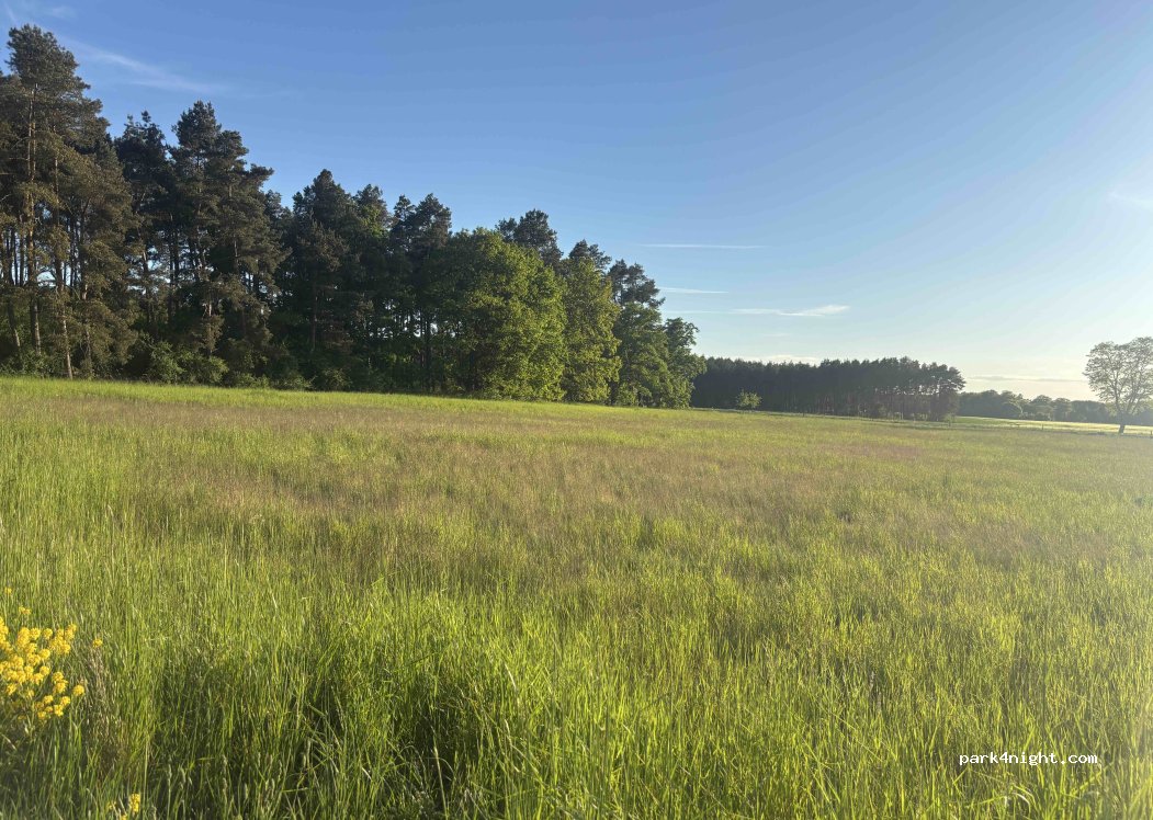 (29410) Salzwedel - Plantagenweg — foto 5
