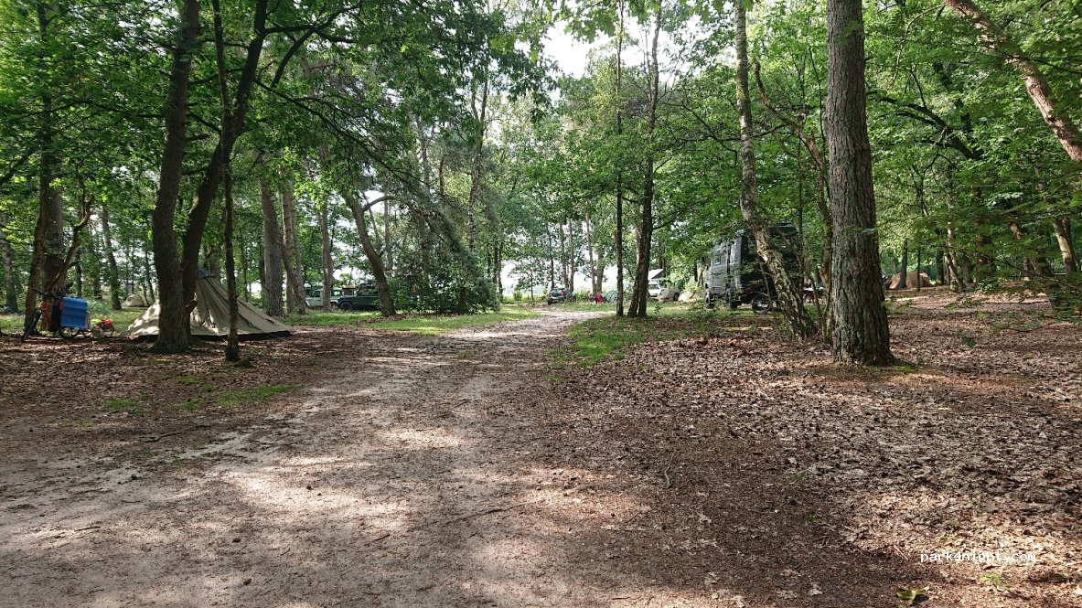Natuurcamping Landgoed Quadenoord Bosbeek — foto