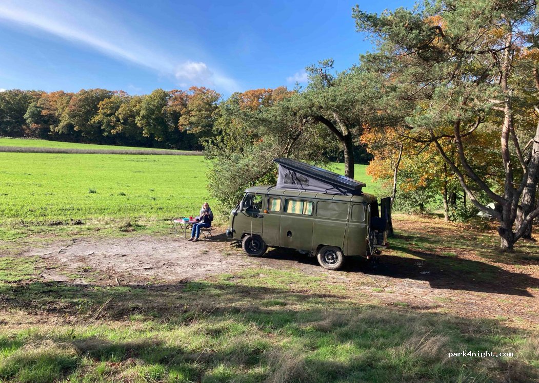 Natuurcamping Landgoed Quadenoord Bosbeek — foto 2
