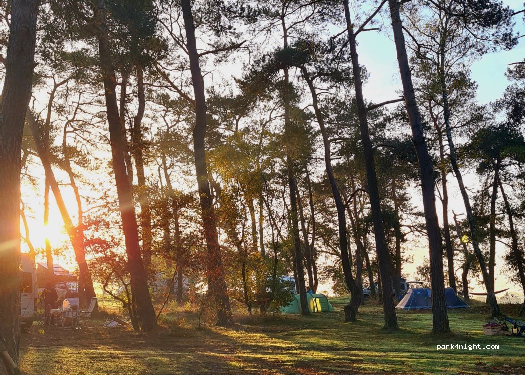 Natuurcamping Landgoed Quadenoord Bosbeek — foto 3
