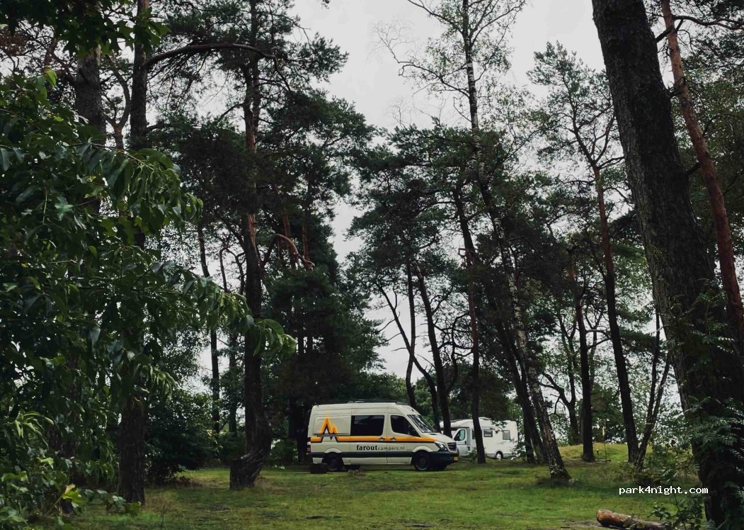 Natuurcamping Landgoed Quadenoord Bosbeek — foto 4