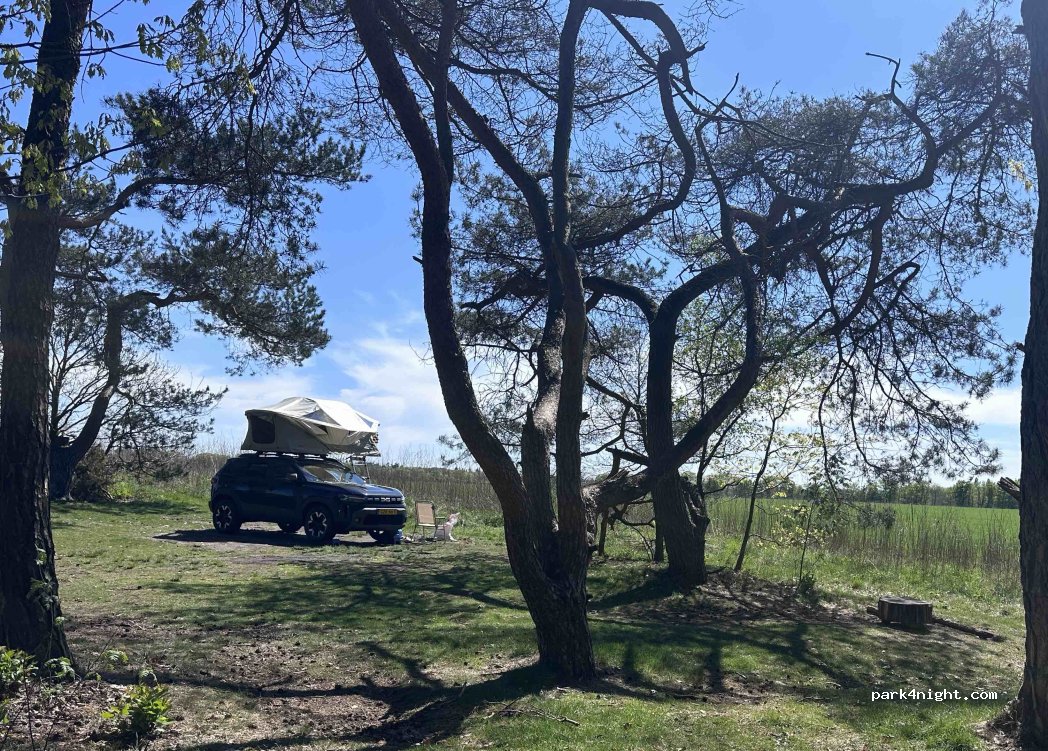 Natuurcamping Landgoed Quadenoord Bosbeek — foto 5