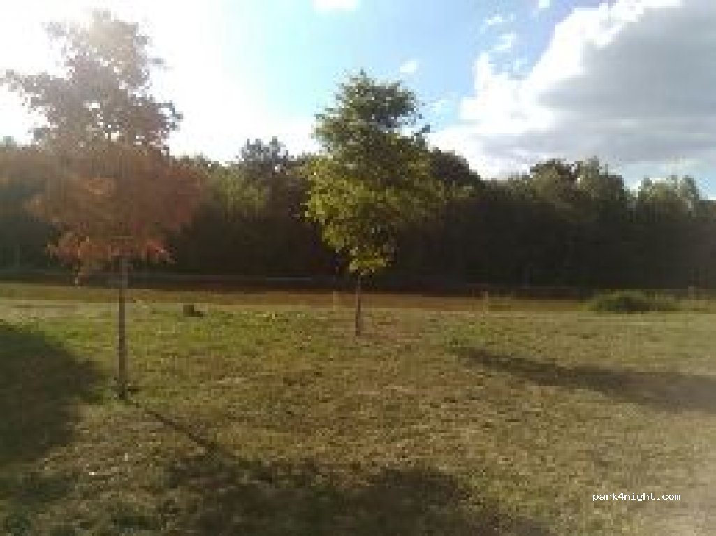 (45510) Vannes-sur-Cosson - 25 Route d'Orléans — foto 2