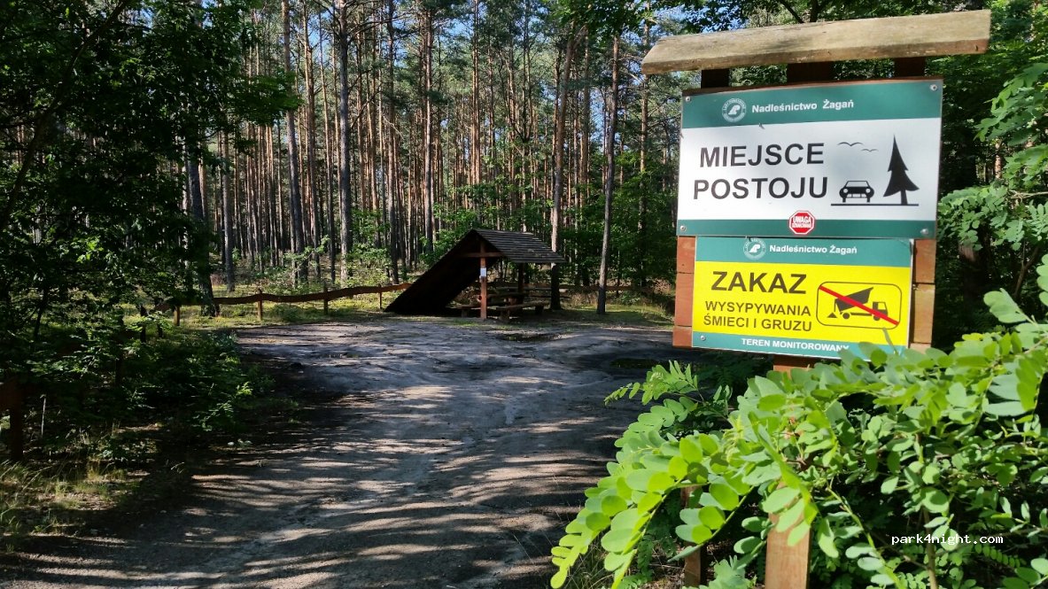 (68) Żagań - Unnamed Road — foto