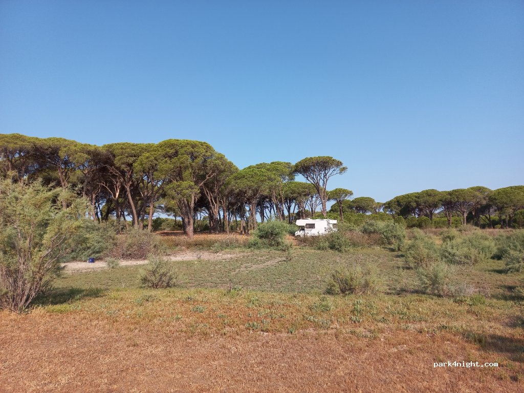(270 52) Kalogria - Eparchiaki Odos Araksos-Manoladas — foto