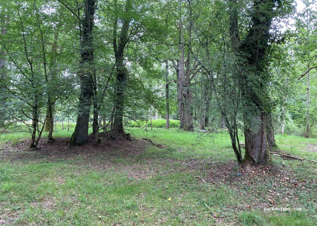 (64370) Geüs-d'Arzacq - Route de Bouillon — foto