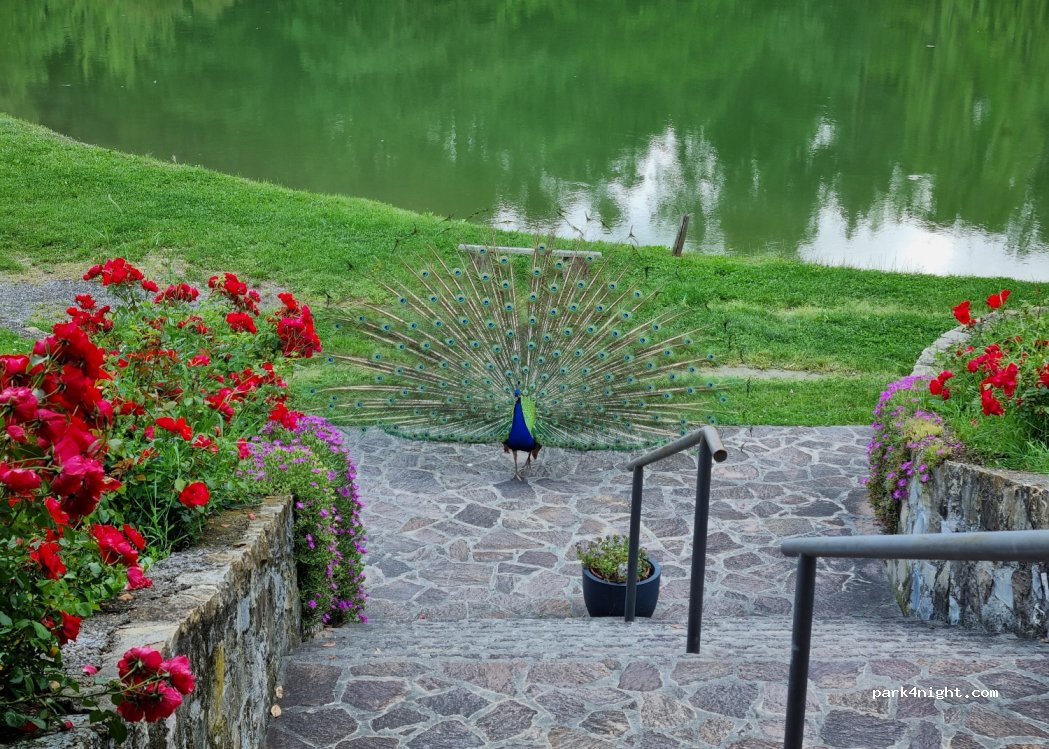 Osteria Del Lago Rio Delle Castagne — foto 4