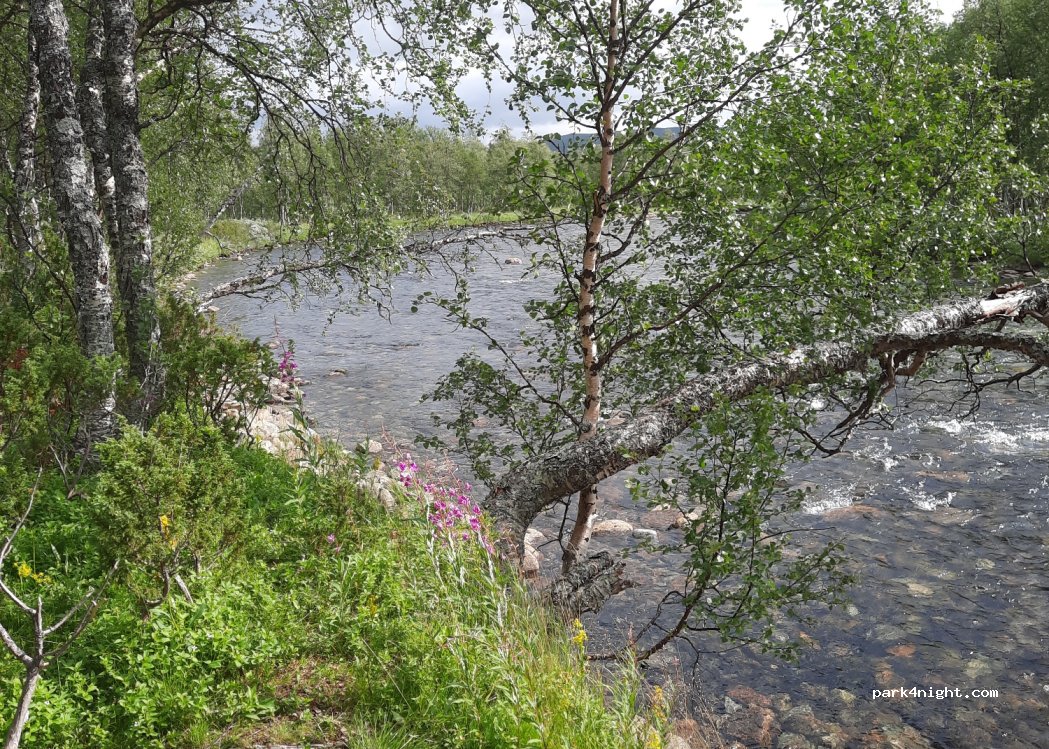 (912 98) Klimpfjäll - Unnamed Road — foto 3