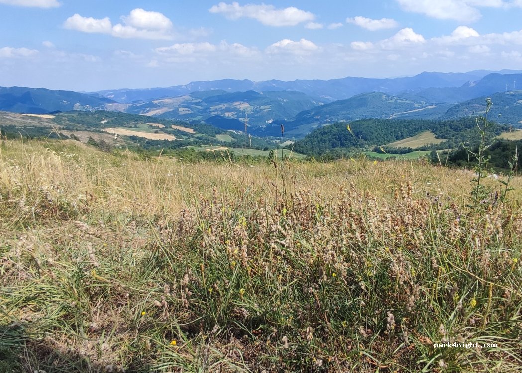(50033) Firenzuola FI - Strada Provinciale 58 Piancaldolese — foto 3