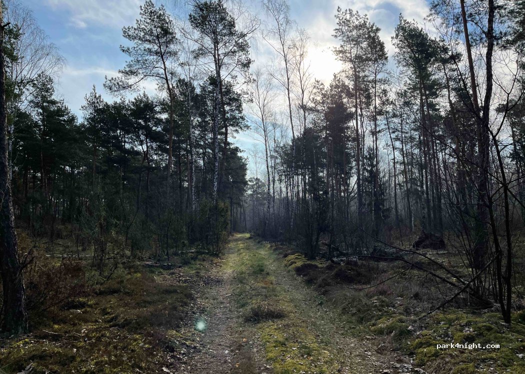 (06-445) Strzegowo - Wyzwolenia — foto 3