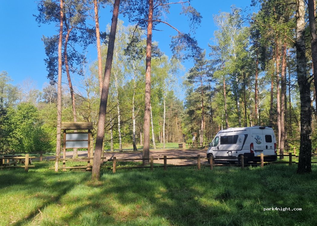 (06-445) Strzegowo - Wyzwolenia — foto 4