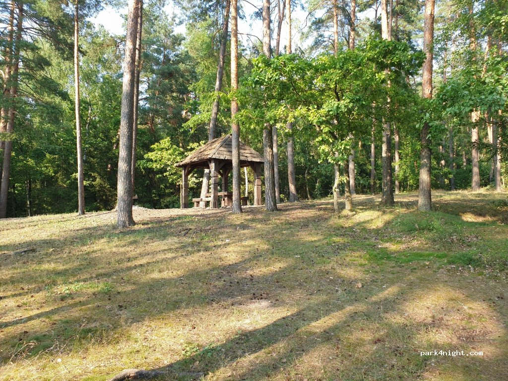 (56329)  - Unnamed Road — foto 2