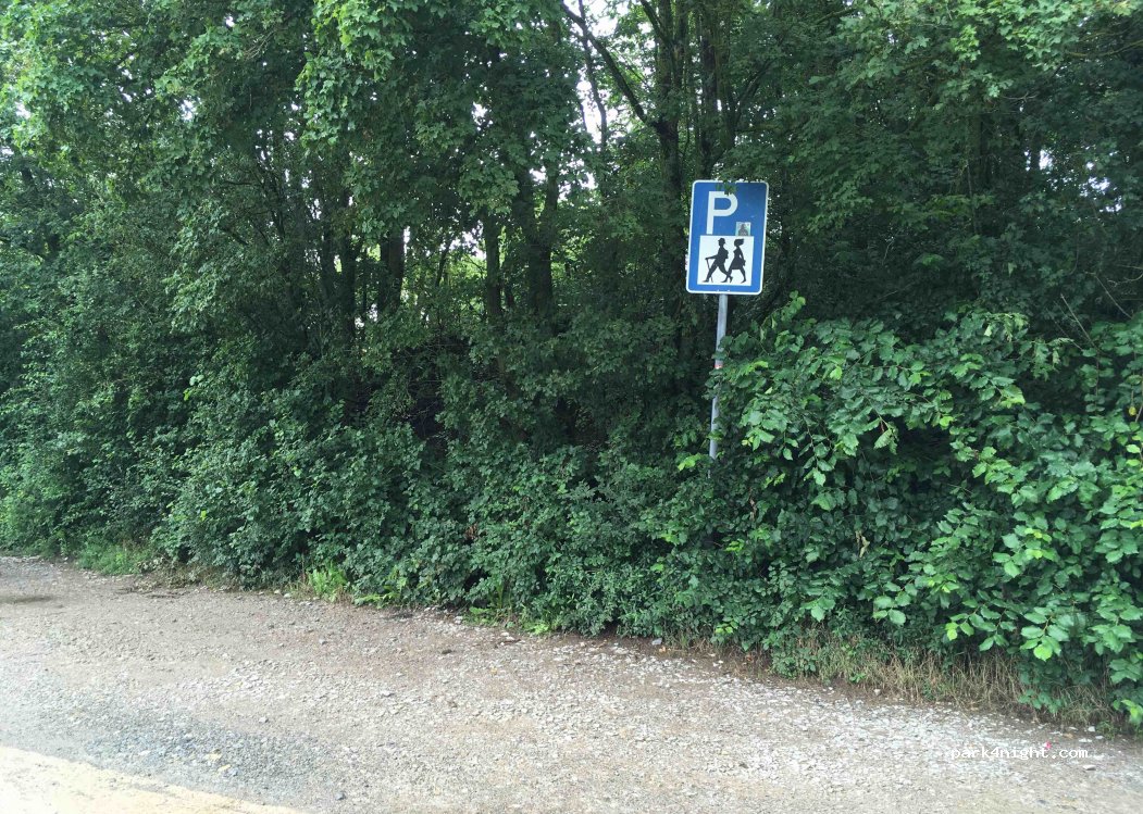 (97236) Randersacker - — foto