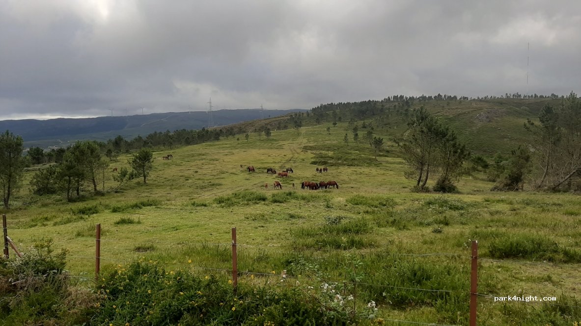 (36873) Pontevedra - Unnamed Road — foto 4