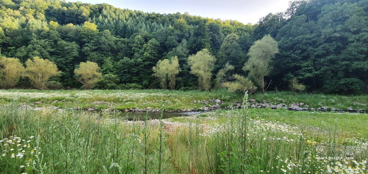 (15100) Anglards-de-Saint-Flour - Unnamed Road — foto 2