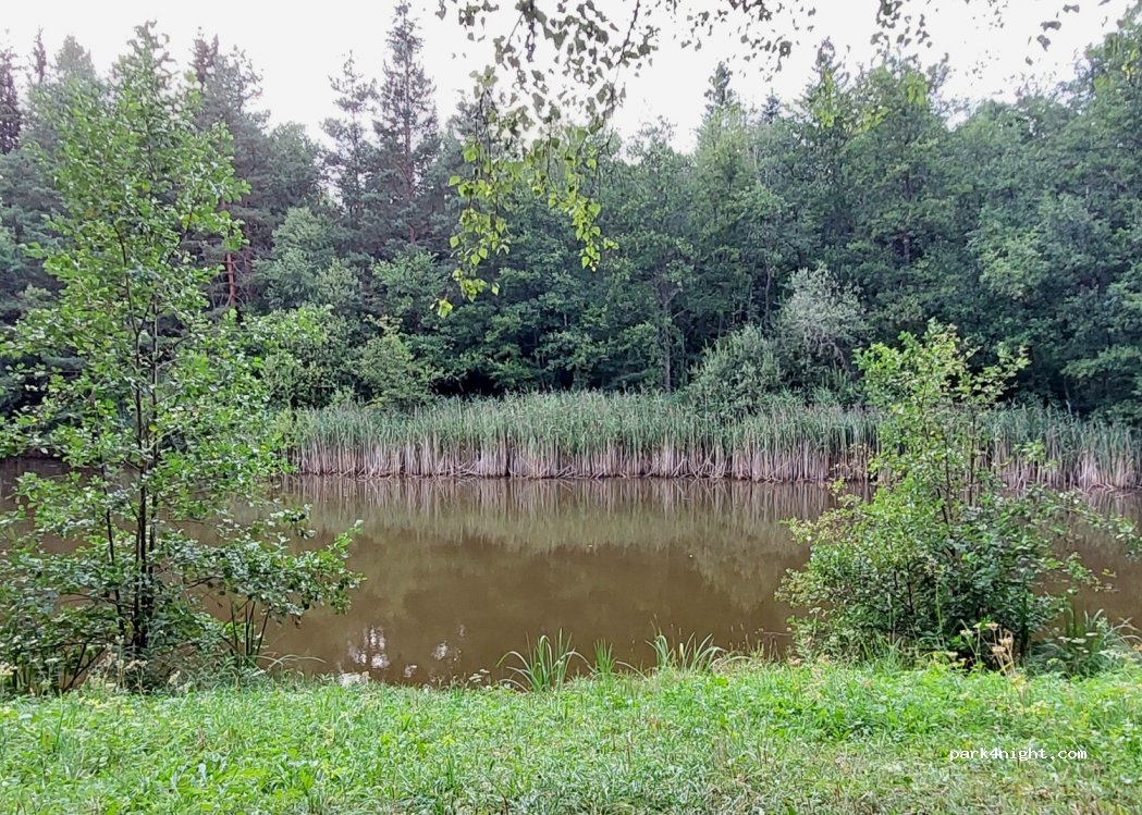 (71157) Hildrizhausen - — foto 4