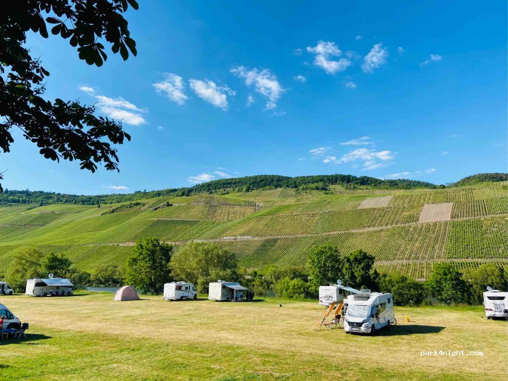 Wohnmobilstellplatz im Moselort Lösnich — foto