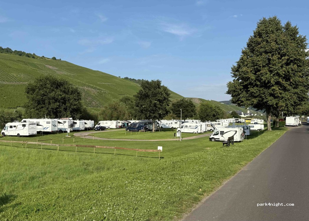 Wohnmobilstellplatz im Moselort Lösnich — foto 5