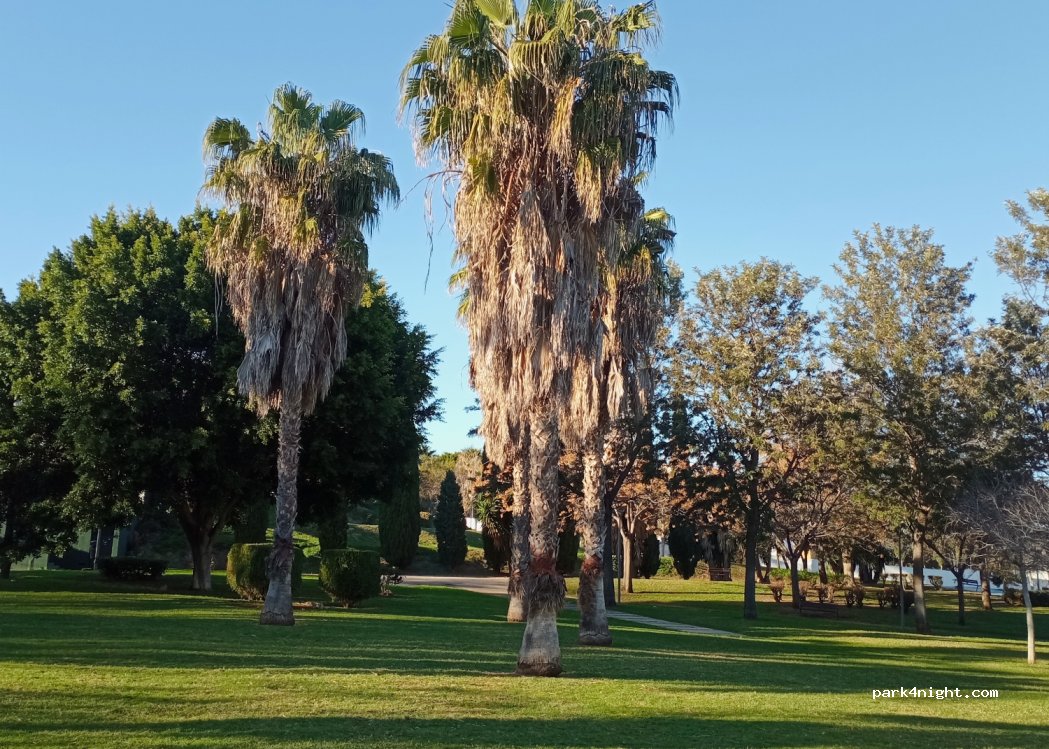 (11100) San Fernando - 9999 Avenida Poeta Rafael Alberti — foto 4