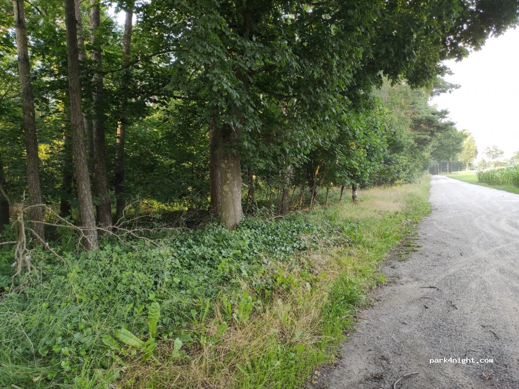 (48653) Coesfeld - Unnamed Road — foto 3