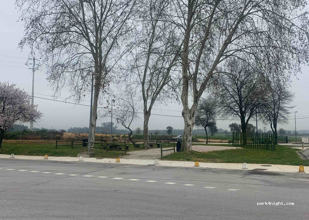 (3865) Salreu - Autoestrada do Norte — foto 4