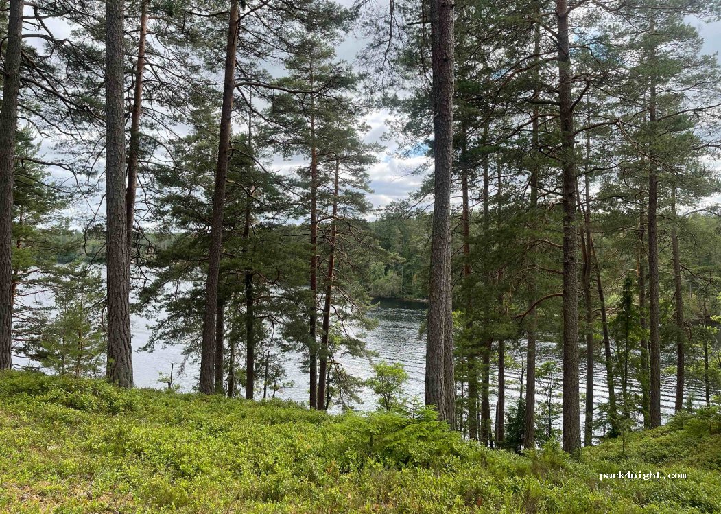 Mullsjö Camping — foto