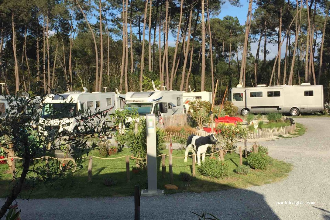 Aire des 3 coccinelles — foto 4
