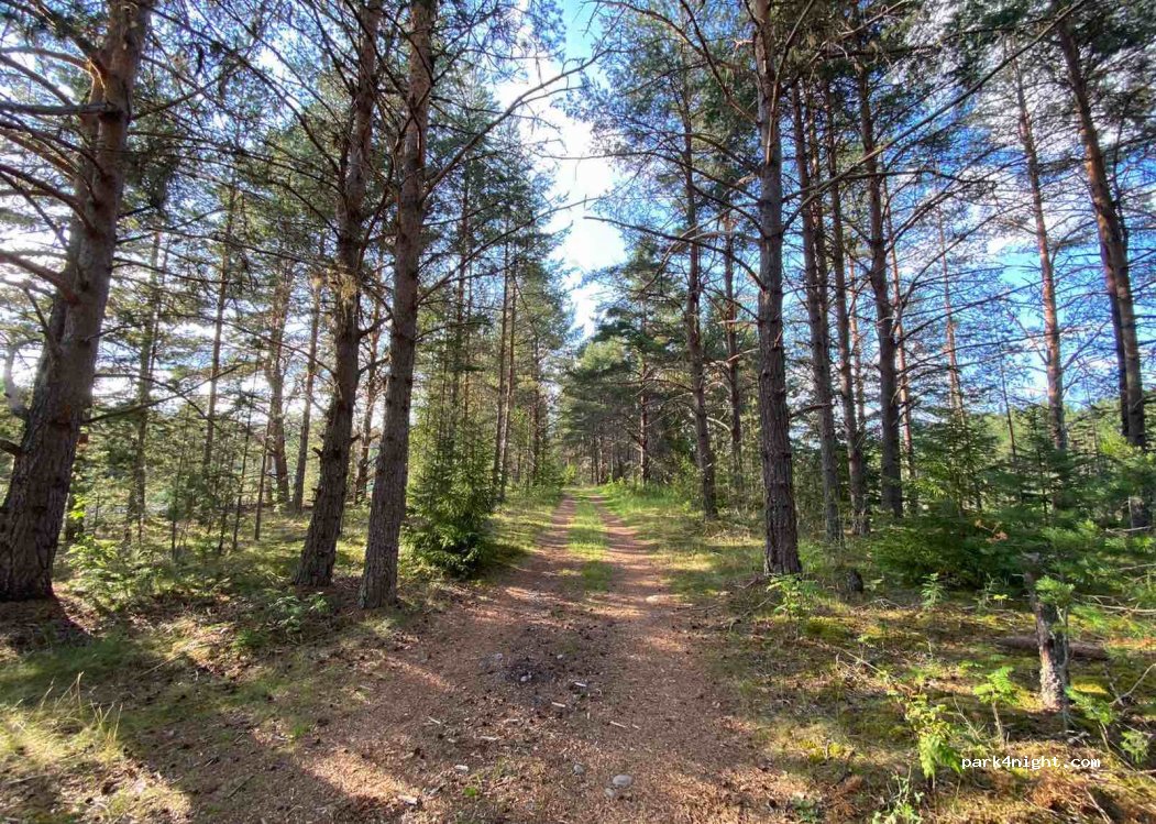 (881 94) Sollefteå - 239 FORSMOBY — foto 3