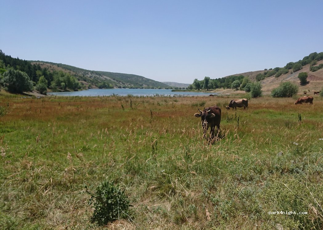 (66000) Derbent - Derbent Köyü Yolu — foto 4