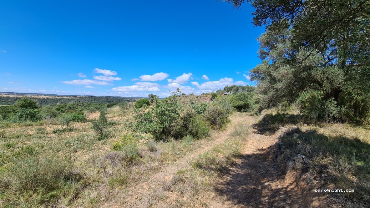 (22144) Bierge - 2 Agregado San Roman — foto