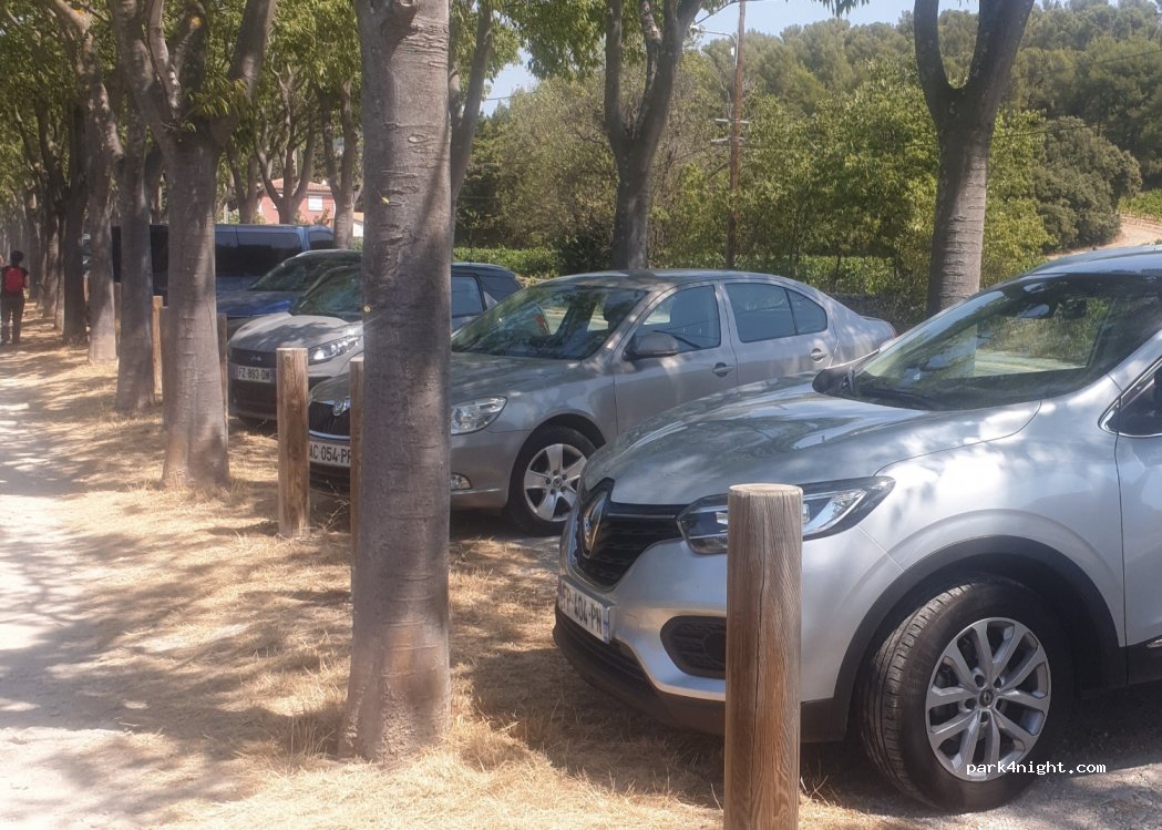 (13260) Cassis - Avenue des Albizzi — foto