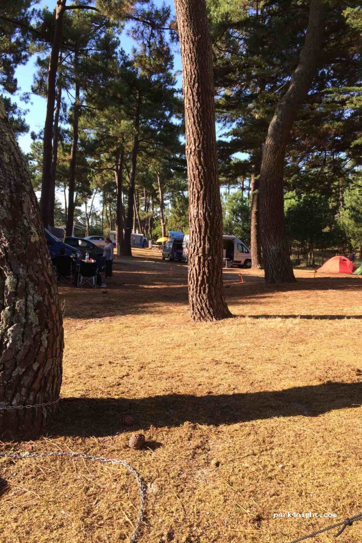 Camping Municipal de l'Océan — foto