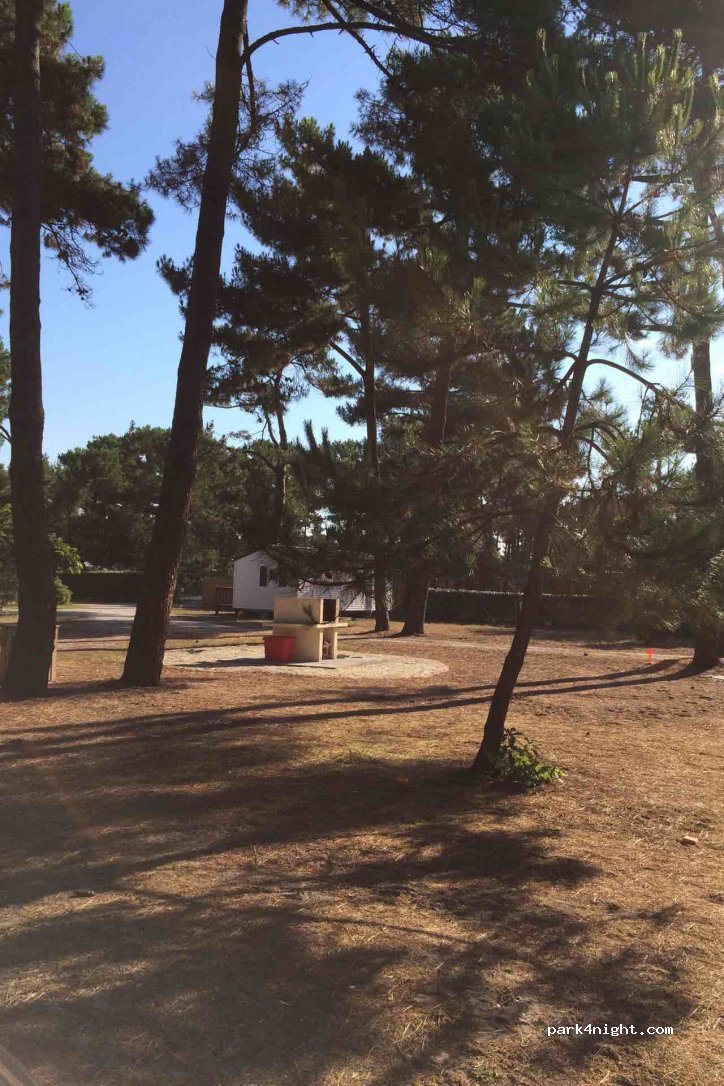 Camping Municipal de l'Océan — foto 2