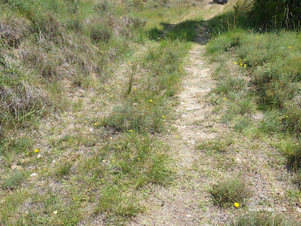 (22830) Caldearenas - Carretera Jaca - Santa María de la Peña — foto
