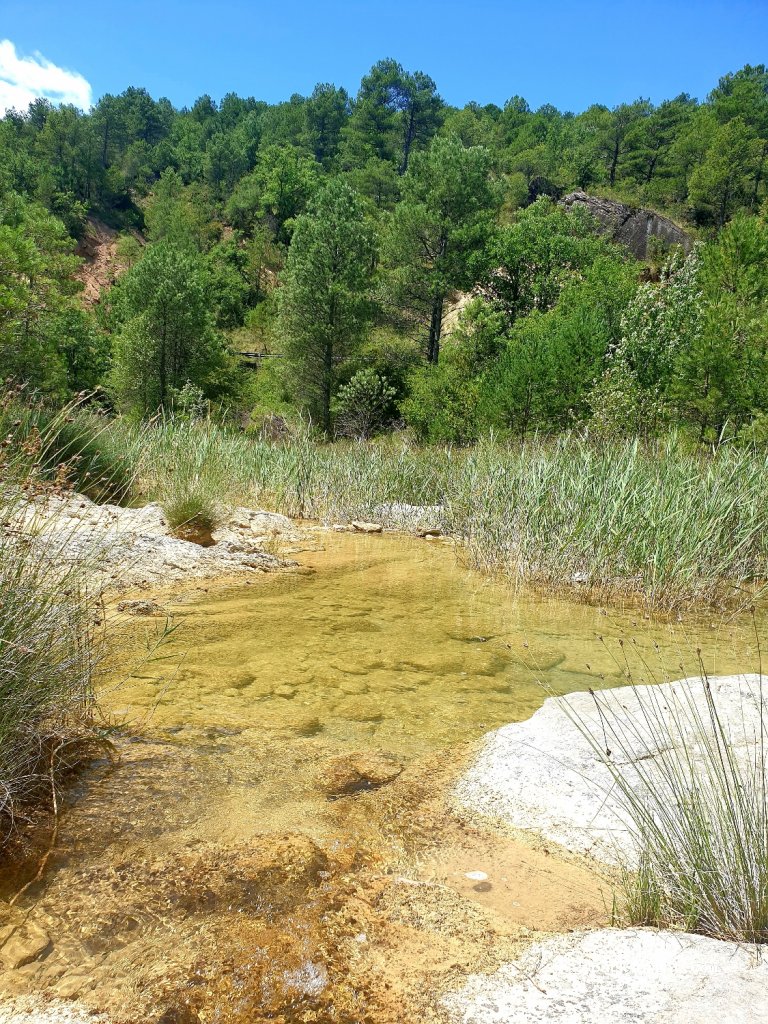 (22830) Caldearenas - Carretera Jaca - Santa María de la Peña — foto 3