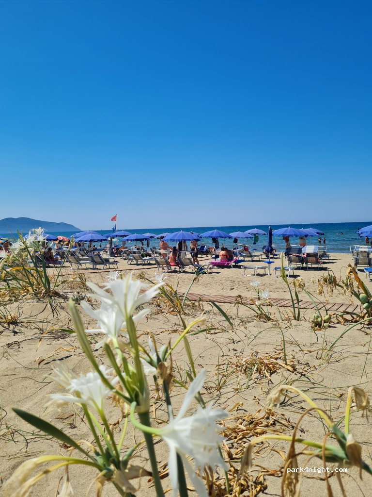 Wild Paestum - Camper/Roulotte Park — foto 4
