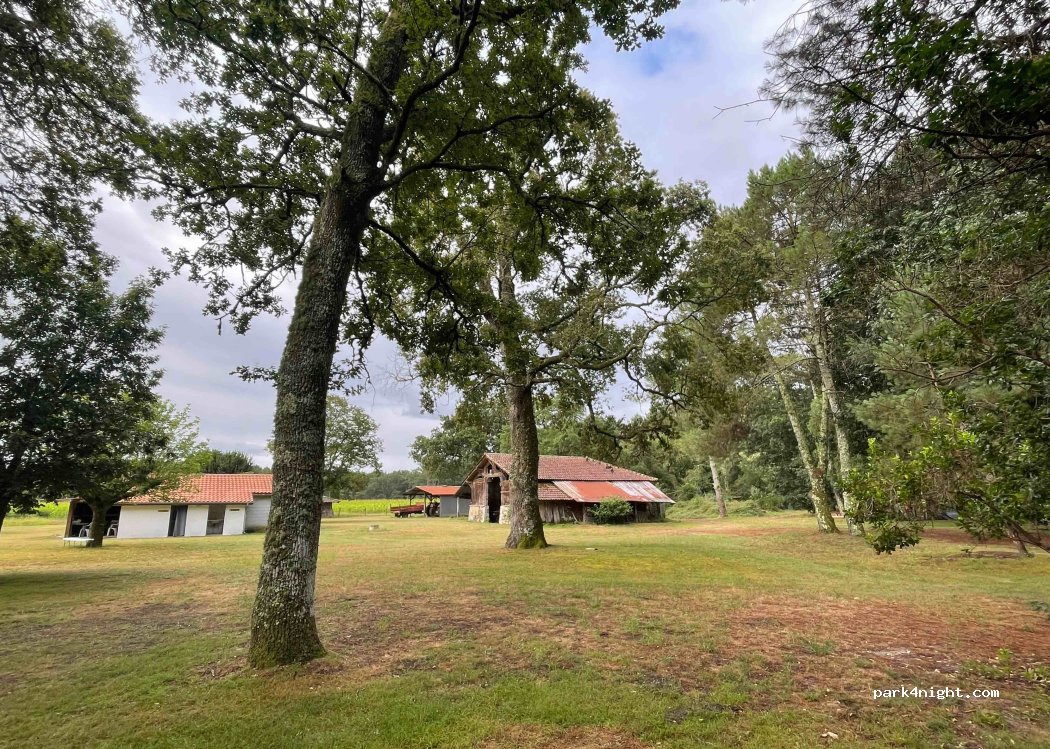 Camping Plazen — foto 4