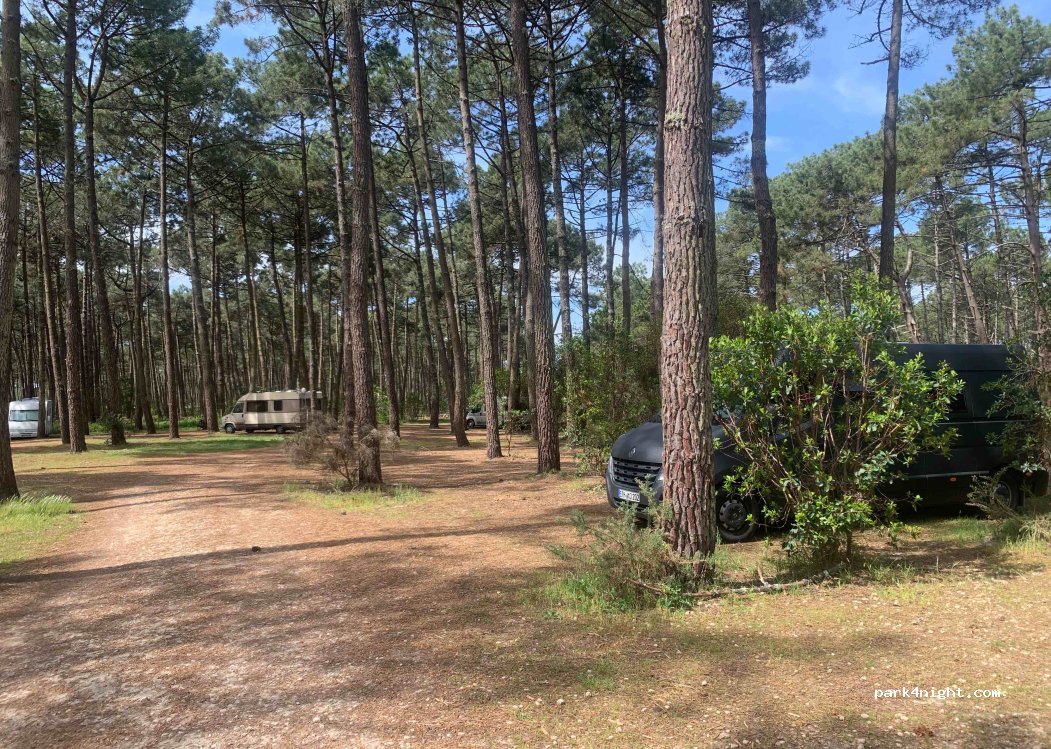 (33950) Lège-Cap-Ferret - Le Grand Crohot — foto 2