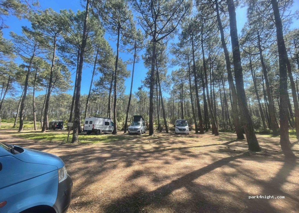 (33950) Lège-Cap-Ferret - Le Grand Crohot — foto 3