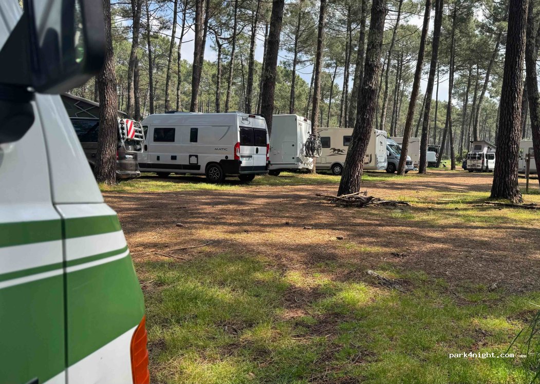 (33950) Lège-Cap-Ferret - Le Grand Crohot — foto 4
