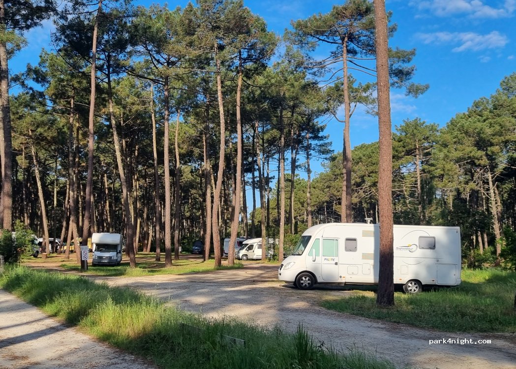 (33950) Lège-Cap-Ferret - Le Grand Crohot — foto 5