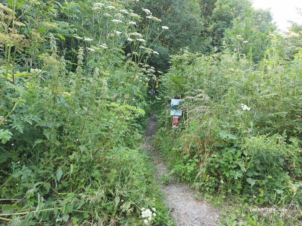 (DT2)  - Unnamed Road — foto 3