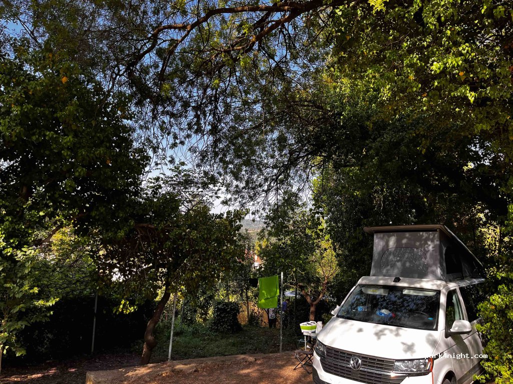 Camping Diana — foto 4