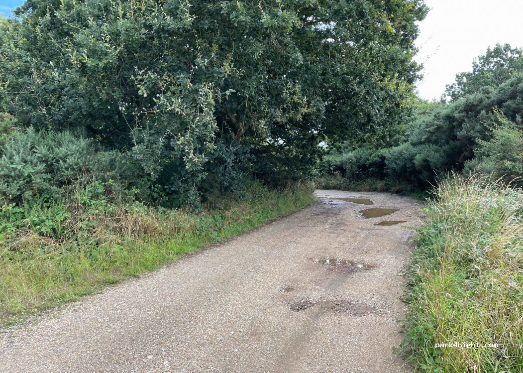 (NR25 7SN) Holt - Wiveton Downs — foto